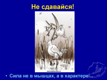 Символ никогда не сдавайся