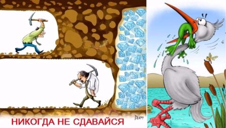 Никогда не сдавайся!