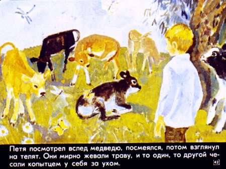 Паустовский дремучий медведь