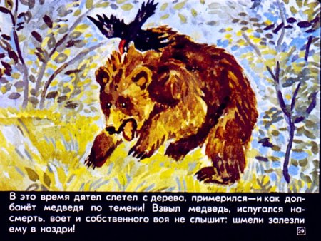 Дремучий медведь Паустовский иллюстрация к рассказу