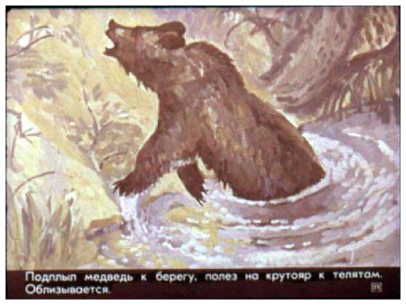 Паустовский дремучий медведь