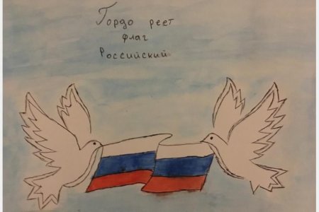 Голубь с российскимфланом