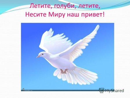 Голубь мира стих