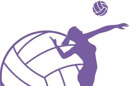 Плакат по волейболу