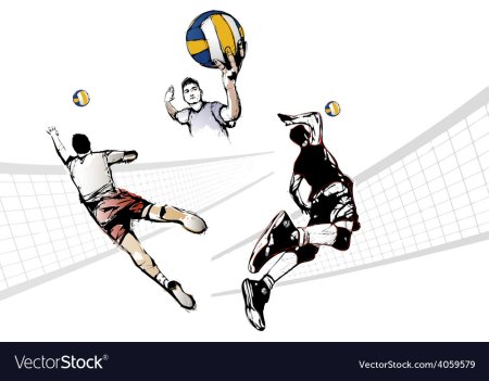Волейбол иллюстрация