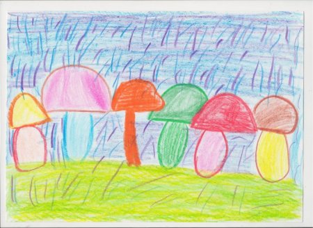 Рисование в старшей группе осенний дождик