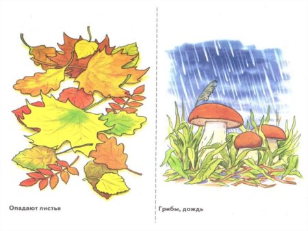 Приколы про дождь