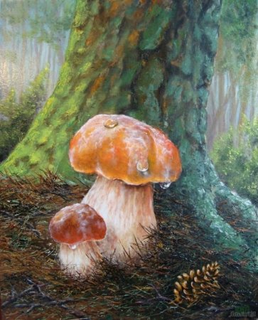 Грибной дождик