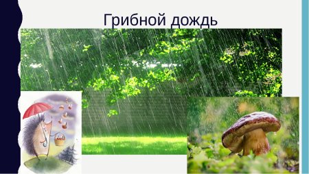 Грибы в живописи