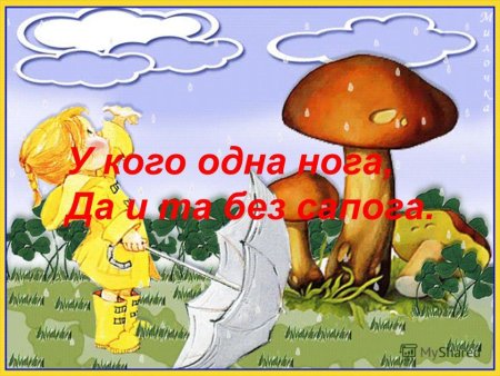 Осенний пейзаж раскраска для детей