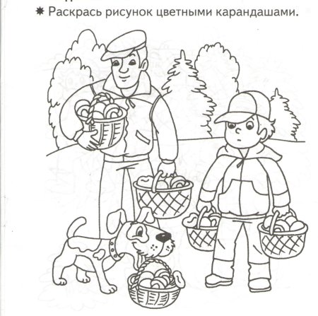 Рисование грибы в лесу