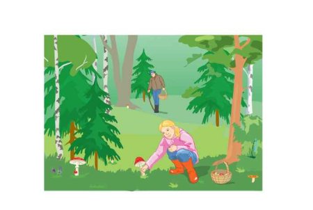 Рисование в лес за грибами