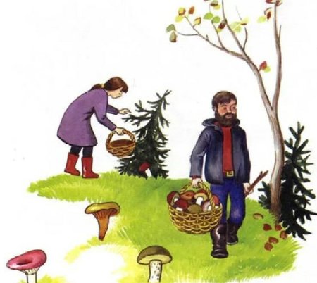 Прогулка в лесу илюстрац