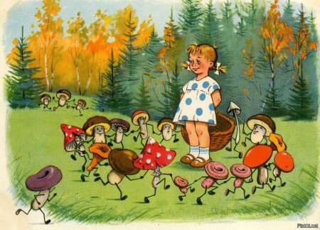 Сутеев лес