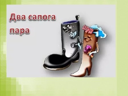 Два сапога пара пословица
