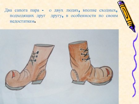 Два сапога пара