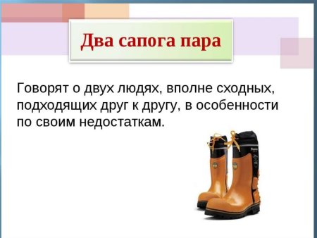 Два сапога пара