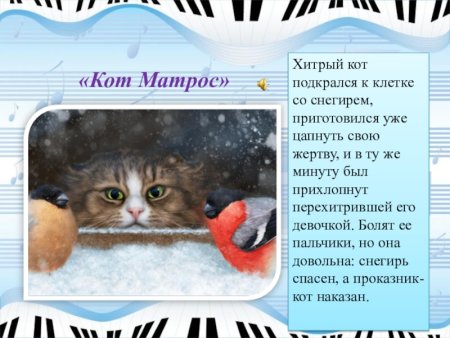 Кот матрос Мусоргский
