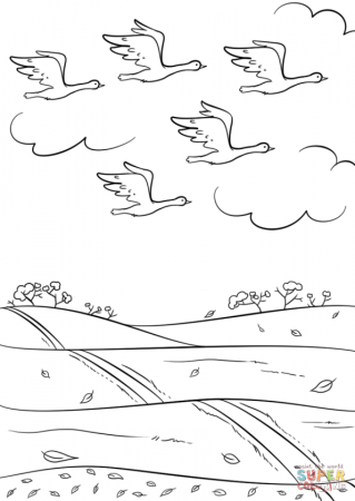 Раскраска птицы улетают на Юг