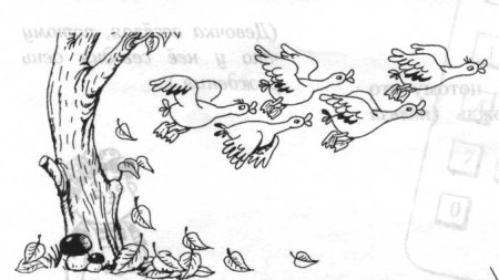 Тема перелетные птицы