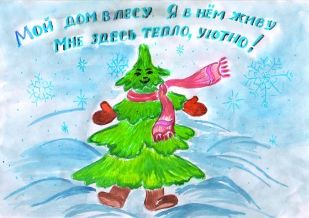 Листовка в защиту хвойных деревьев