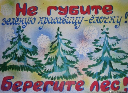 Листовки в защиту елок