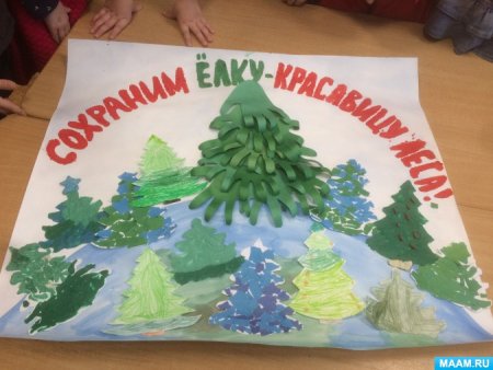 Плакат сохраним лесную красавицу