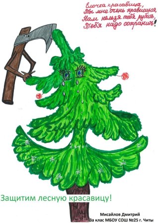 Не рубите елки