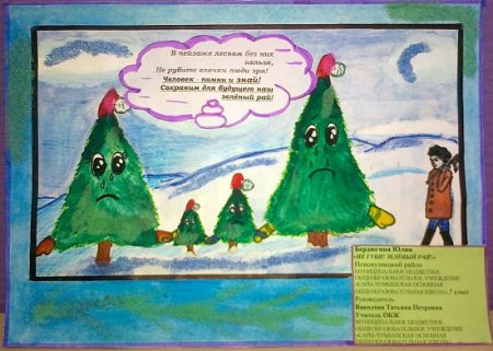 Плакат в защиту хвойных деревьев