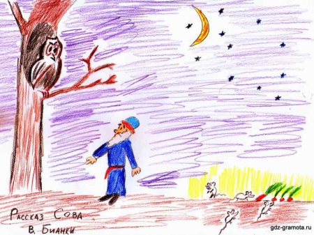 Сказка Сова Бианки