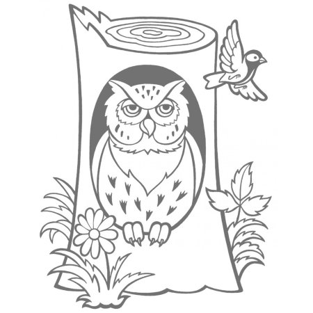Бианки Сова раскраска