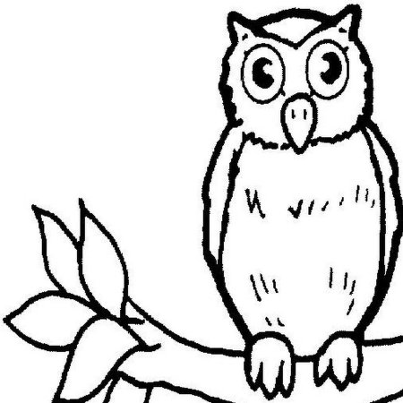 Бианки Сова раскраска