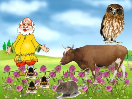 Виталий Бианки Сова