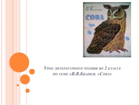 Урок литературного чтения 2 класс Сова Бианки