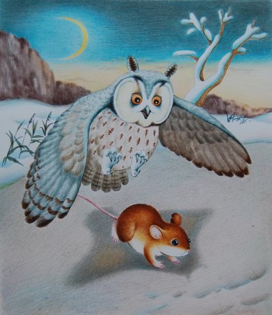 Иллюстрация к сказке Сова