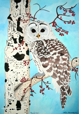 Чарушин иллюстрации Сова