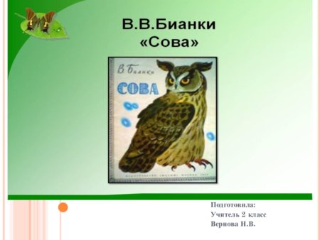 Бианки в. "Сова"