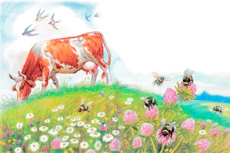 Сказка Сова Бианки