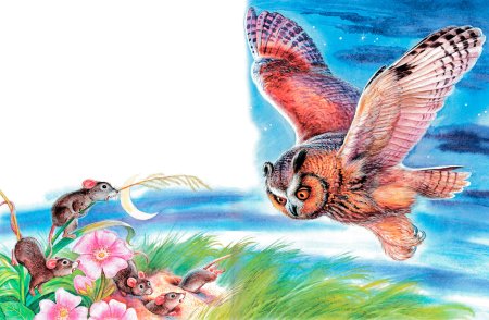 Виталий Бианки Сова