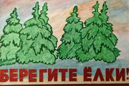 Берегите елочку