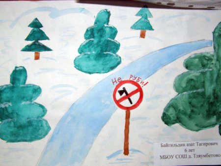 Сохраним ель рисунок