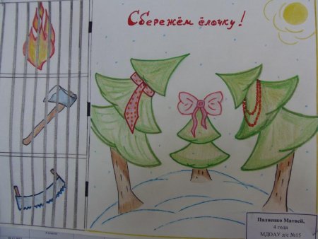 Рисунок на тему сохраним ель