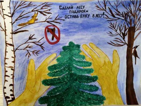 Плакат сохраним лесную красавицу