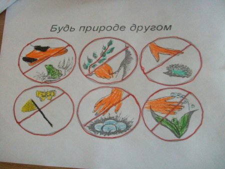 Плакат на тему будь природе другом