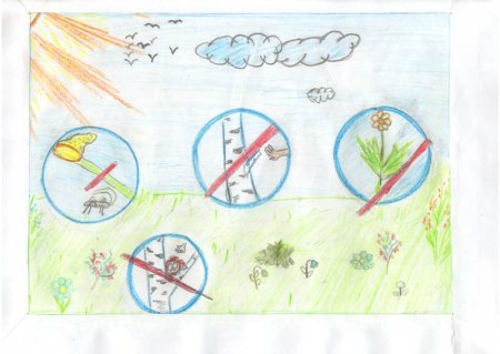 Рисунок на тему неправильное отношение к природе