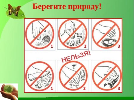 Знаки береги природу