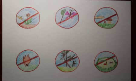 Знаки охраны природы