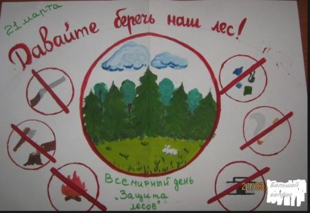 Плакат "берегите лес!"