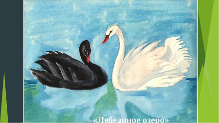 Рисование лебедя черный