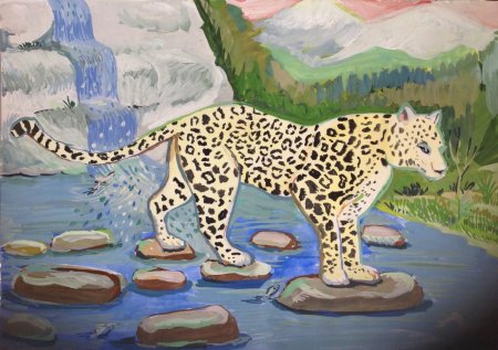 Сочинский национальный парк рисунок